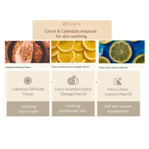 STAYVE Citron & Calendula Ampulle (10×8ml)