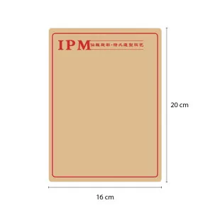 IPM Silikon-Übungshaut (200 x 160 mm)