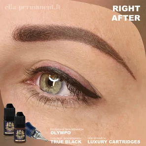 Skin Monarch Avantgarde Line True Black Pigment für Eyeliner (5 ml)