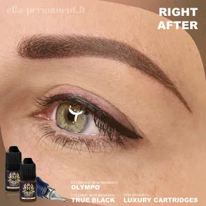 Skin Monarch Avant-Garde line Eyebrows pigment