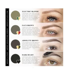 Monica Ivani Signature Series Eyebrow Pigment Set Li Pigments REACH Approved